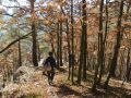 Wandern durch den Herbstwald am Kirchfels